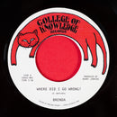 BRENDA - Where Did I Go Wrong? b/w Family