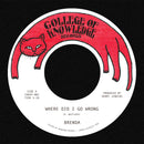 BRENDA - Where Did I Go Wrong? b/w Family