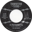 THE SENTIMENTS - She Won't Be Gone Long