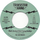 THE SENTIMENTS - What's So Good About Saying Goodbye?