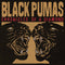 BLACK PUMAS - Chronicles of a Diamond