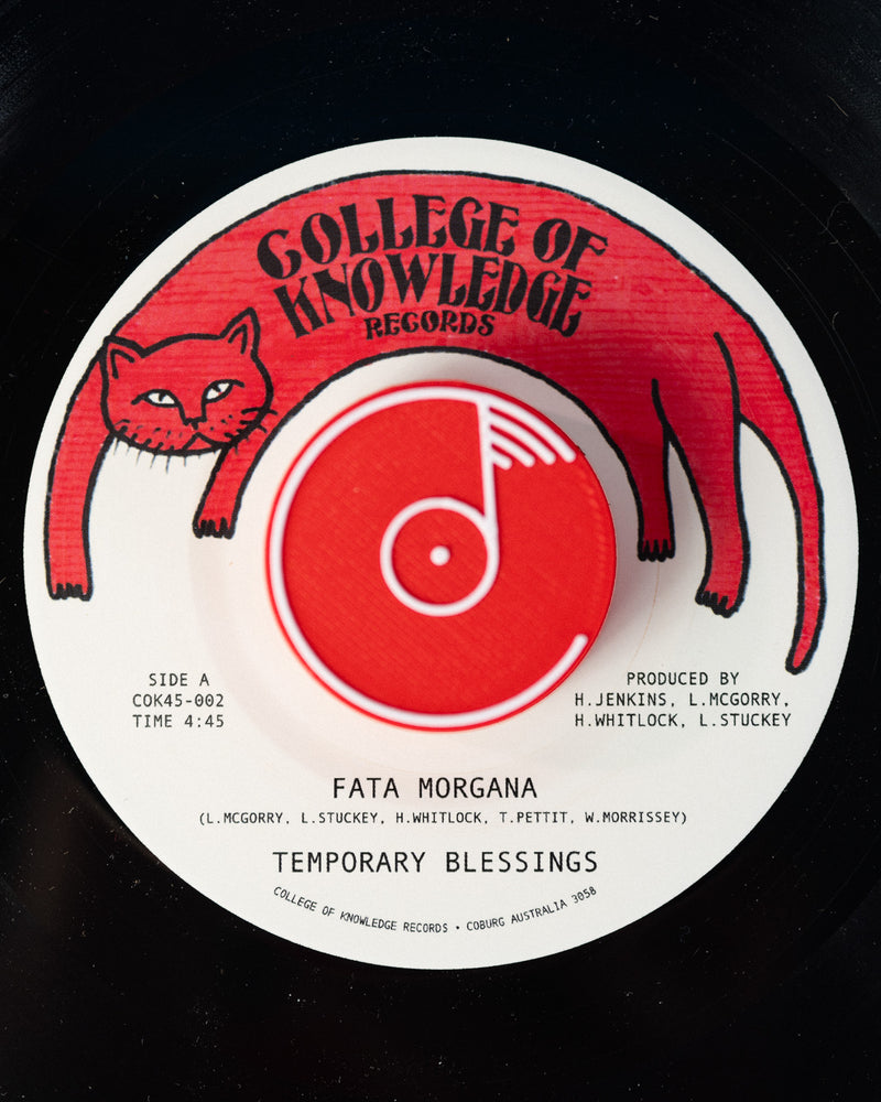 TEMPORARY BLESSINGS - Fata Morgana / Silence Leaves An Open Wound [RELEASE DATE: 9/5/2025]