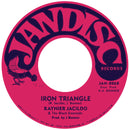 RAY & ANANT / RAYNIER JACILDO & THE BLACK EMERALDS - Dan De Lion / Iron Triangle