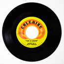 SHAWN LEE & KELLY FINNIGAN - Say It Again / Harpsichord Rock [RELEASE DATE: 9/19/2025]