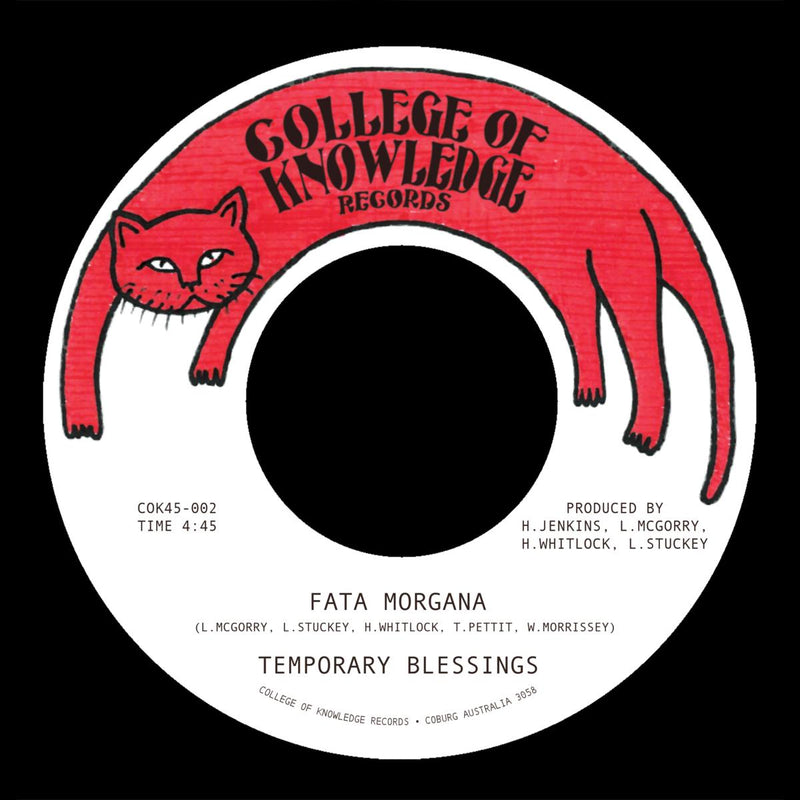 TEMPORARY BLESSINGS - Fata Morgana / Silence Leaves An Open Wound [RELEASE DATE: 9/5/2025]