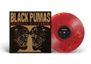 BLACK PUMAS - Chronicles of a Diamond