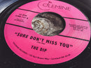THE DIP - Sure Don't Miss You