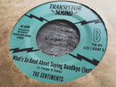 THE SENTIMENTS - What's So Good About Saying Goodbye?