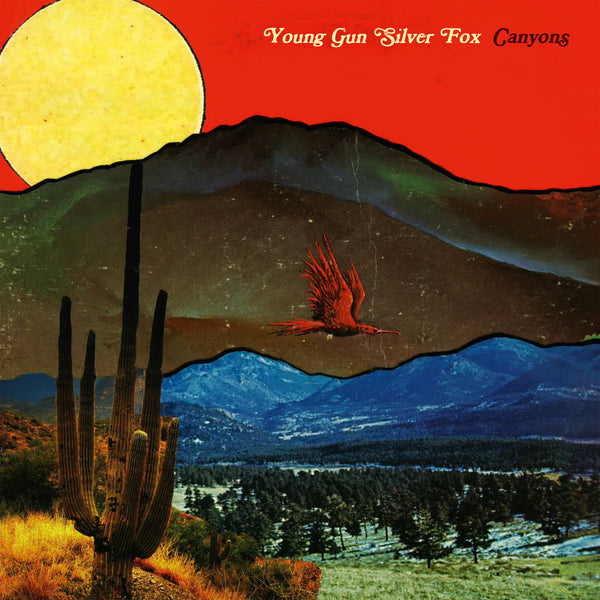 YOUNG GUN SILVER FOX - Canyons – Colemine Records